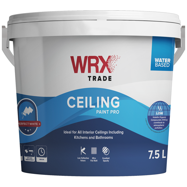 Ceiling Paint Pro
