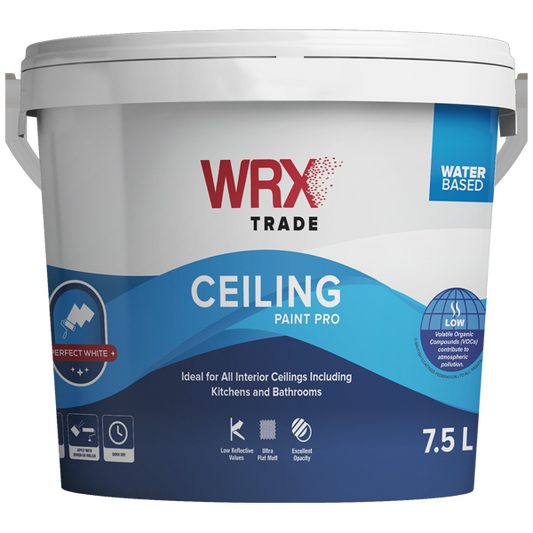 Ceiling Paint Pro